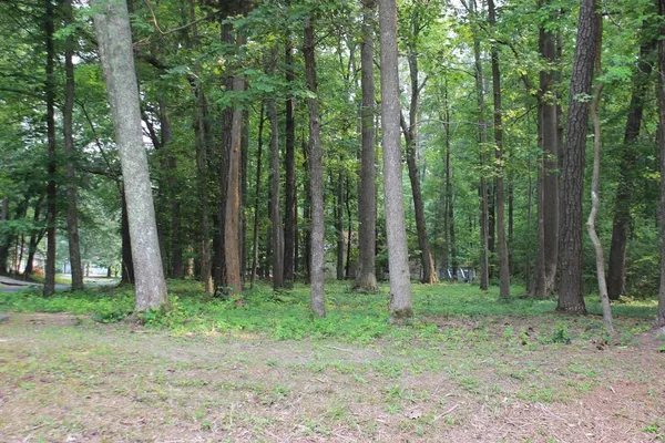 $10,000 | 2040 Neptune Court, Unit 2040, Greenbackville, VA 23356