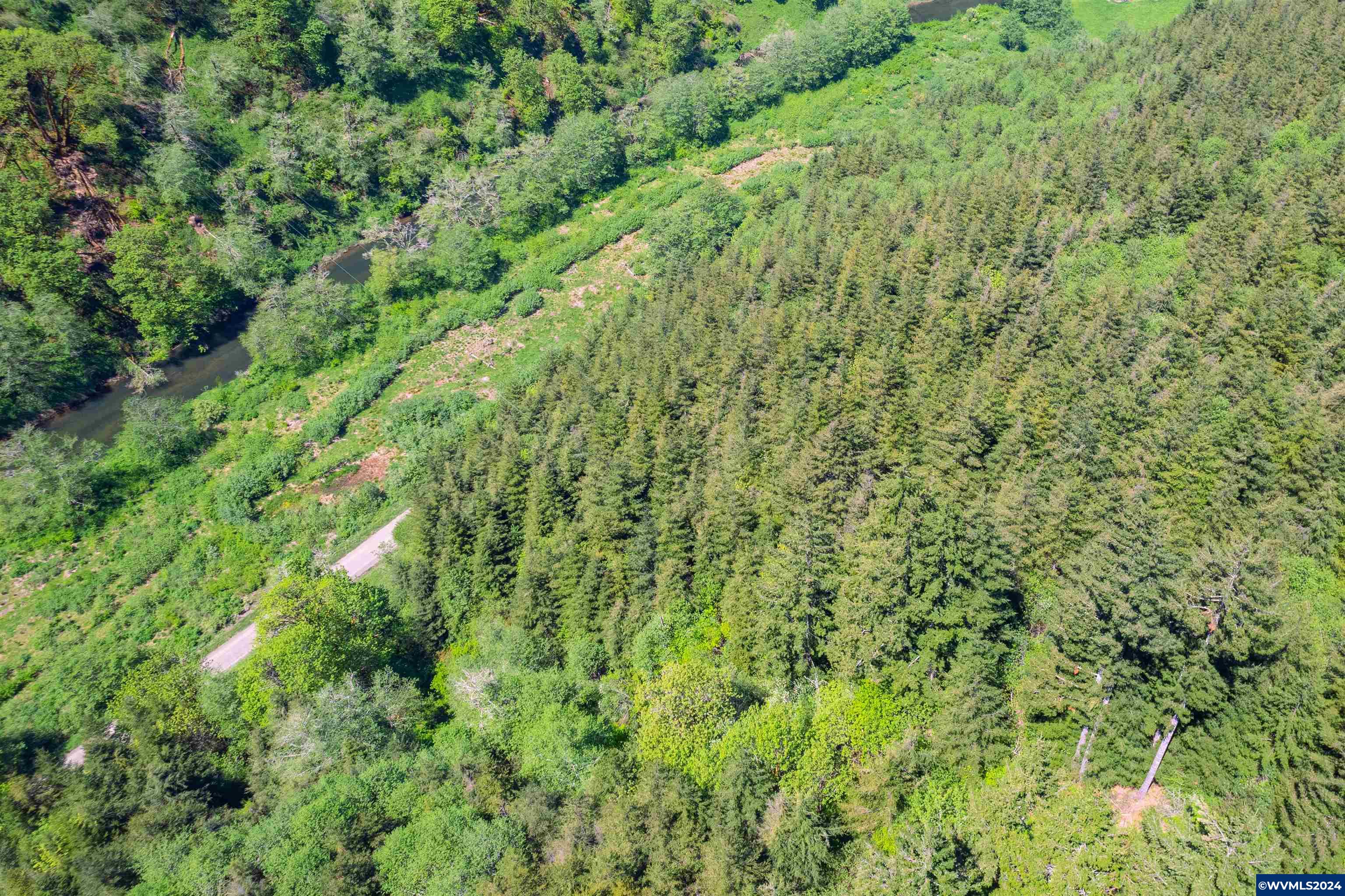 0 Harlan Road Toledo, OR 97391 - Photo 5 of 27