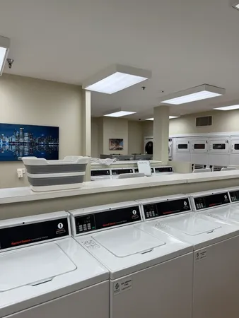 $2,750 | 401 East Ontario Street, Unit 3010, Chicago, IL 60611