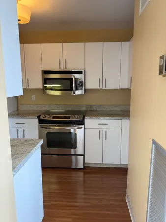 $2,750 | 401 East Ontario Street, Unit 3010, Chicago, IL 60611