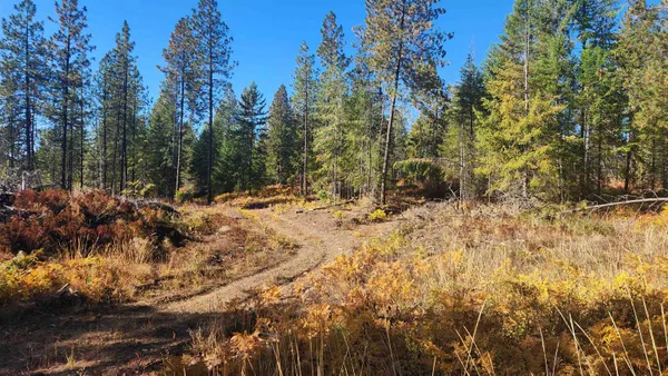 $139,000 | 43-xx Lyons Hill Road, Springdale, WA 99173