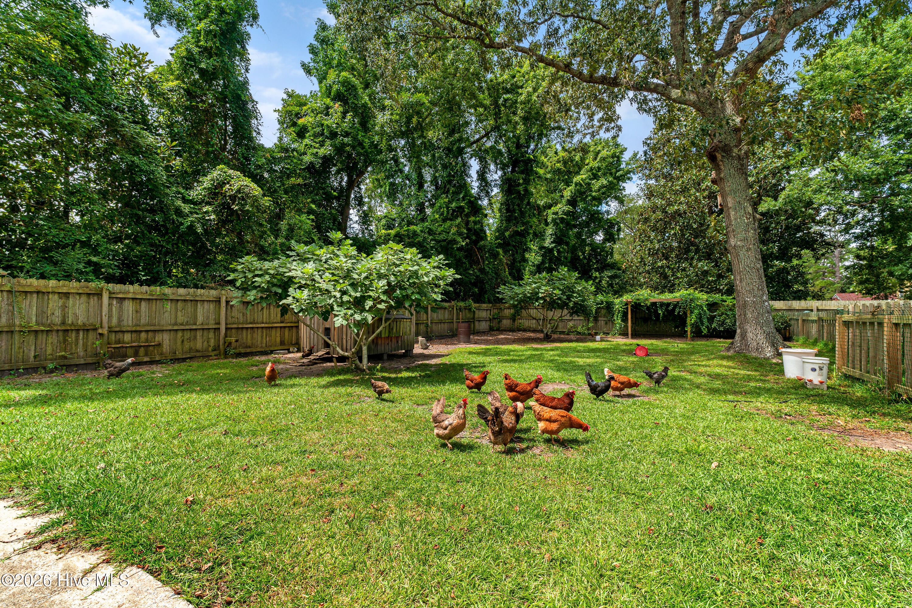 4111 Country Club Road Morehead City, NC 28557 - Photo 39 of 50 Gallery Image 39