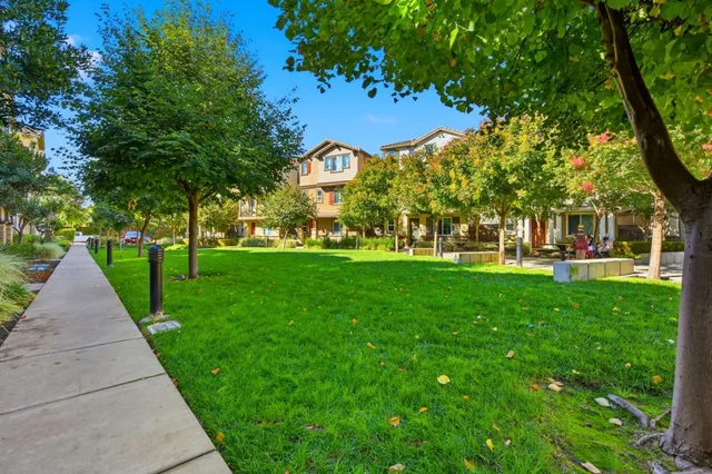 a view of yard with tree s