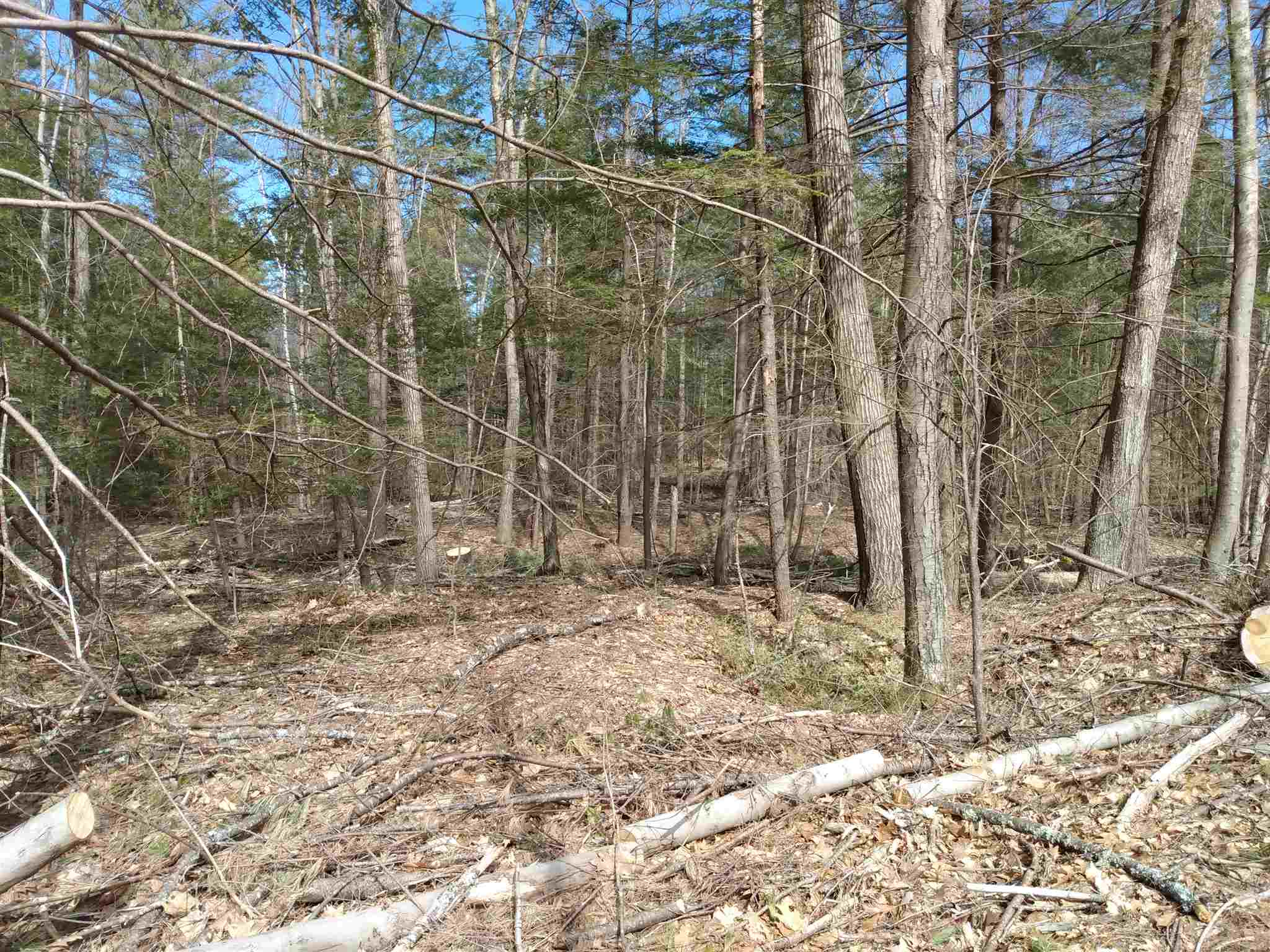 Lot 9 Private Road Spofford, NH 03462 - Photo 1 of 3 Gallery Image 1