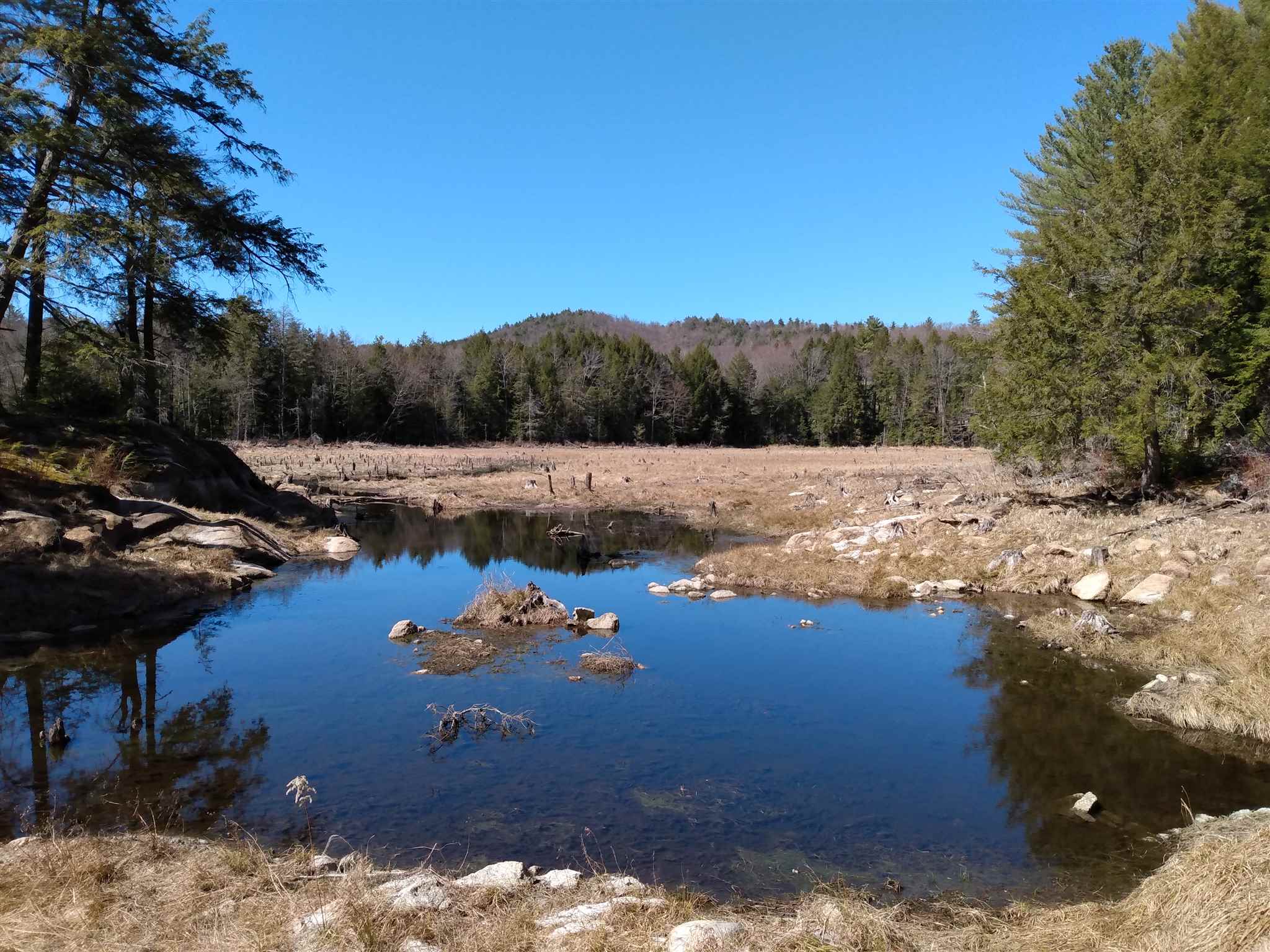 Lot 9 Private Road Spofford, NH 03462 - Photo 3 of 3 Gallery Image 3