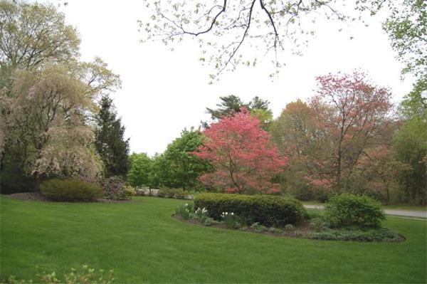 8 Butterfield Road Lexington, MA 02420 - Photo 30 of 30 Gallery Image 30
