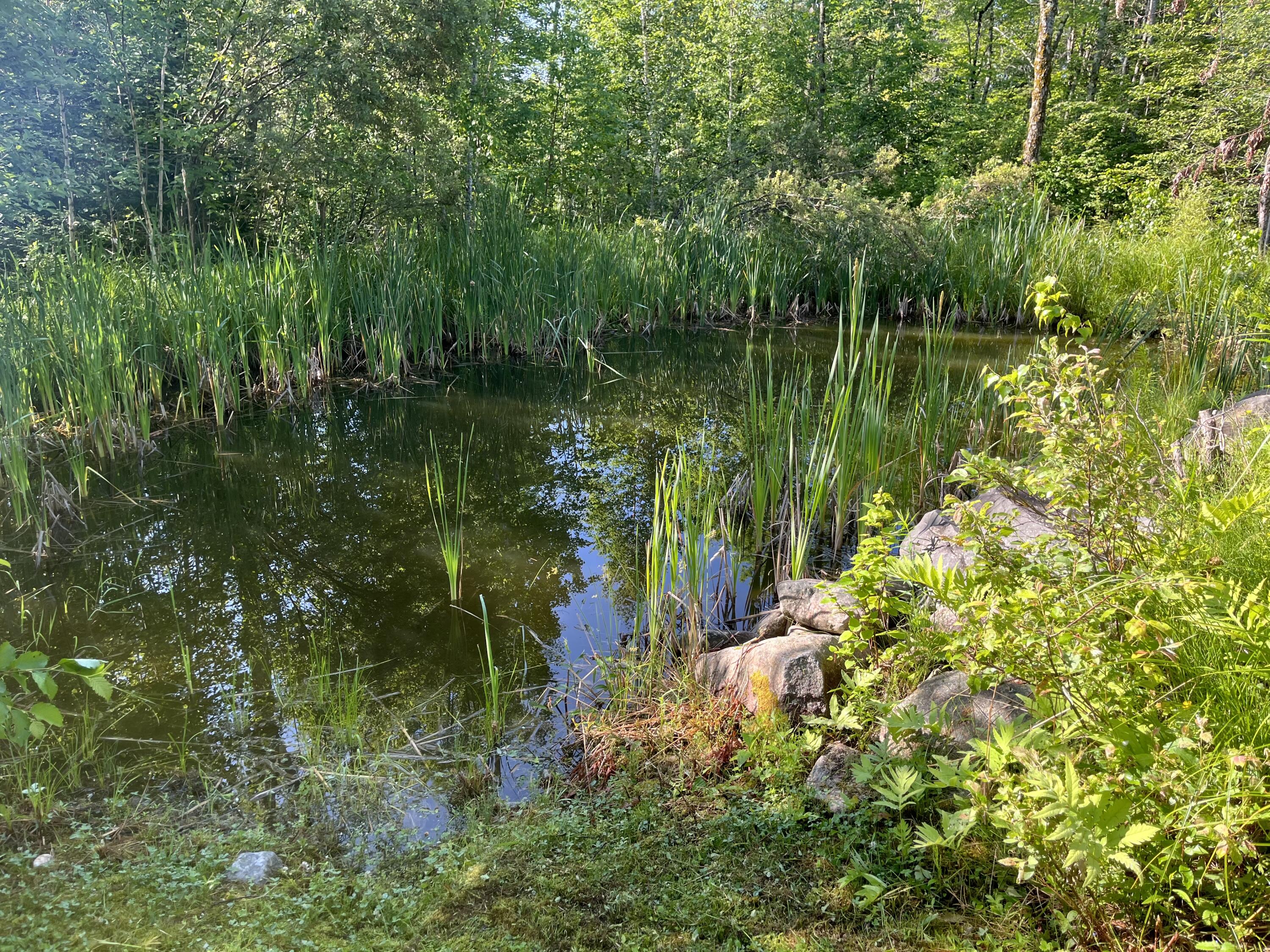 271 Bigelow Road St. Albans, ME 04971 - Photo 6 of 60 Pond