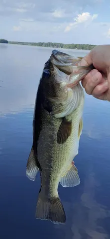 $499,900 | 3 Blue Heron Lane, Winslow, ME 04901