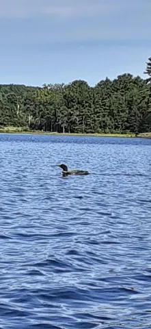 $499,900 | 3 Blue Heron Lane, Winslow, ME 04901