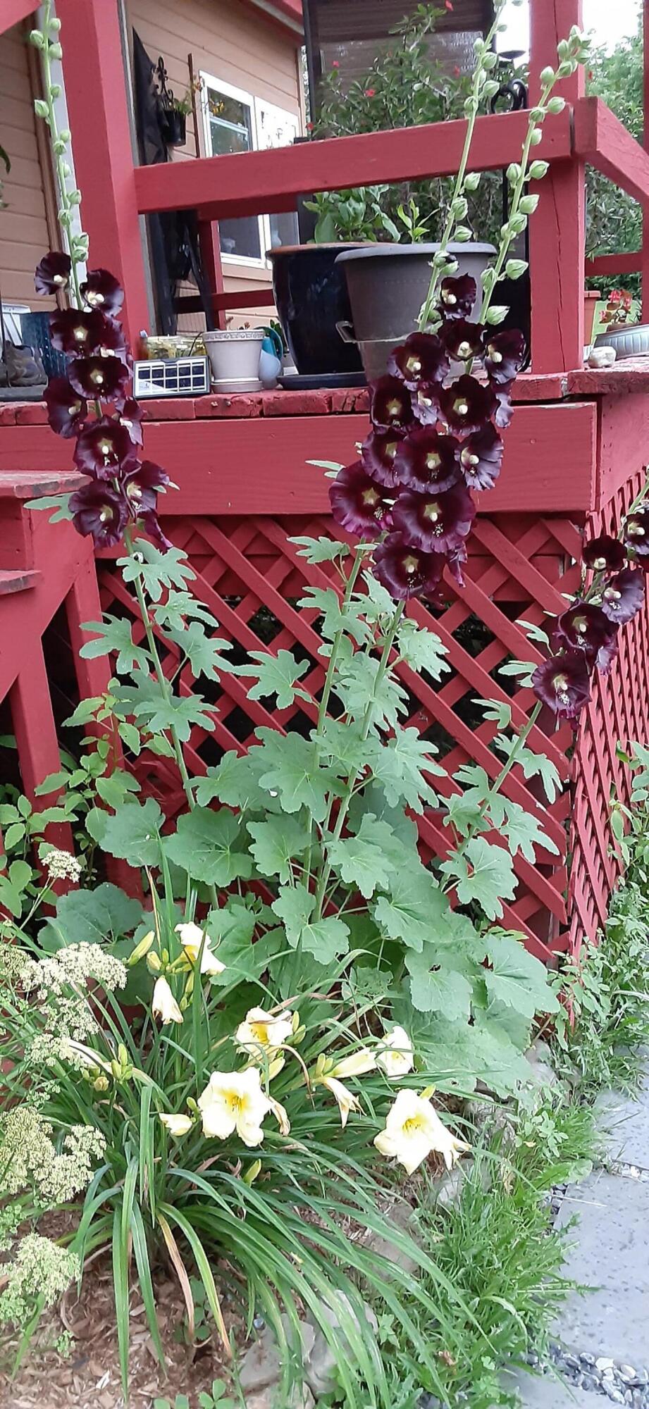 3 Blue Heron Lane Winslow, ME 04901 - Photo 32 of 42 1000000914