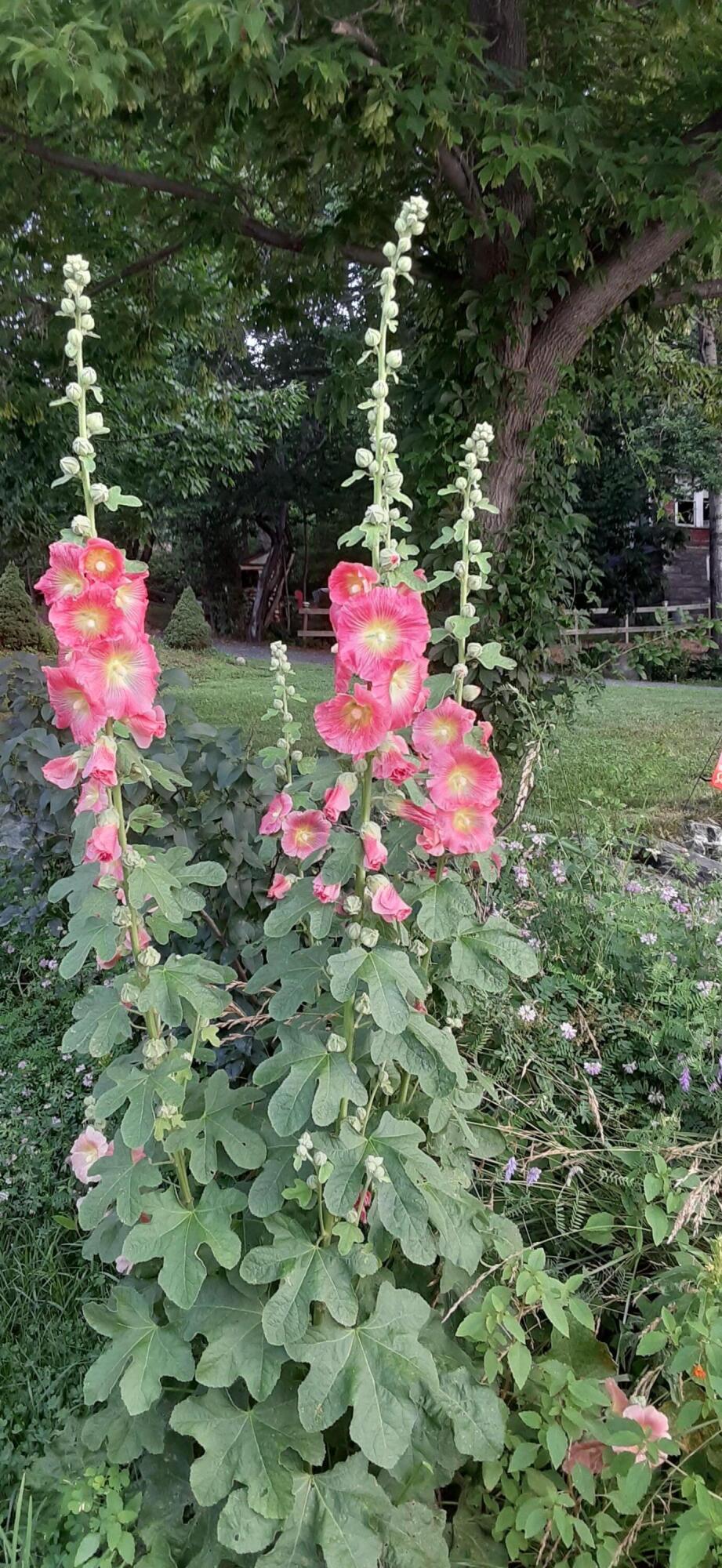 3 Blue Heron Lane Winslow, ME 04901 - Photo 35 of 42 1000000915