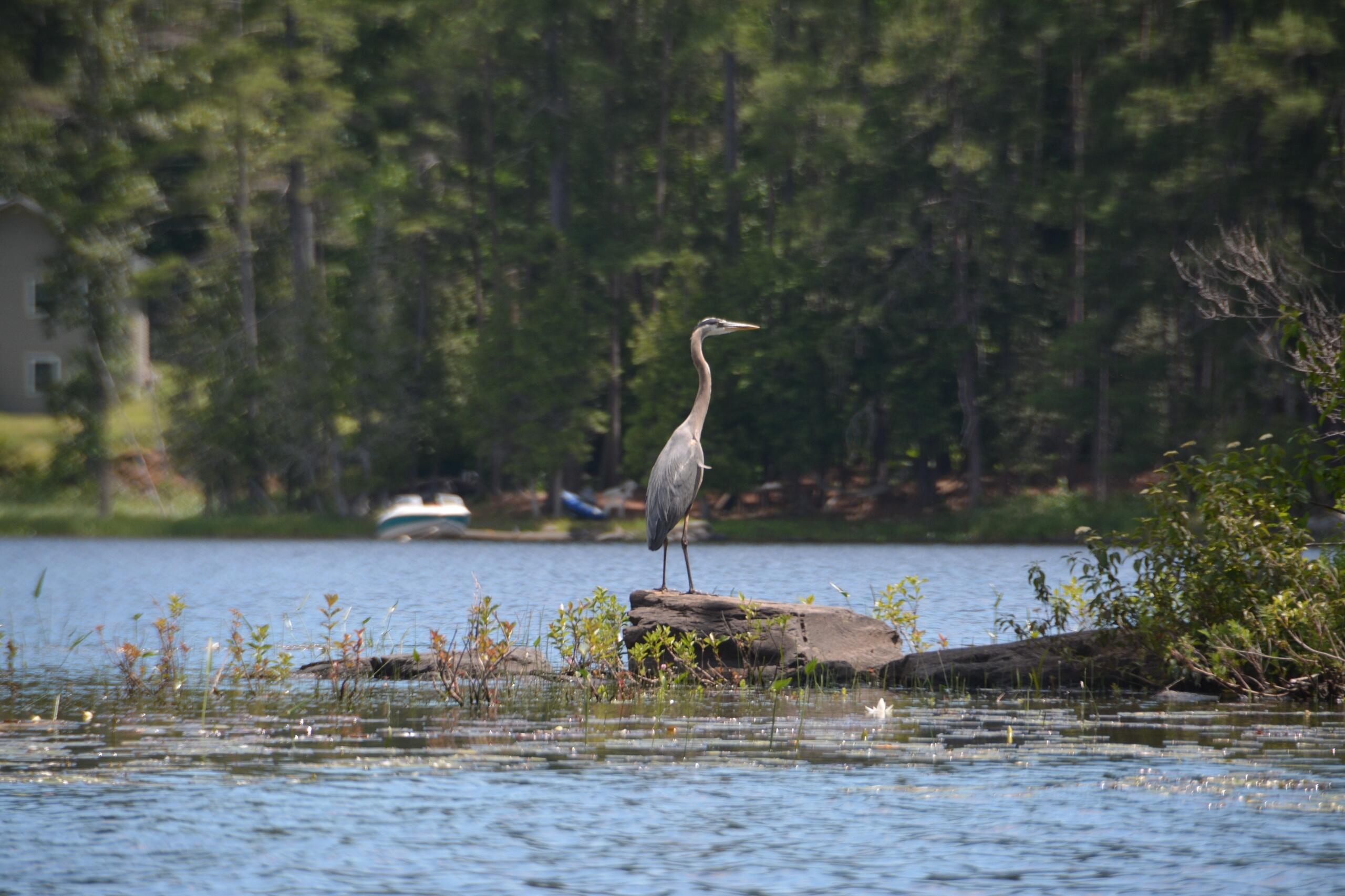 3 Blue Heron Lane Winslow, ME 04901 - Photo 38 of 42 Resized_DSC_4607_1739550591118