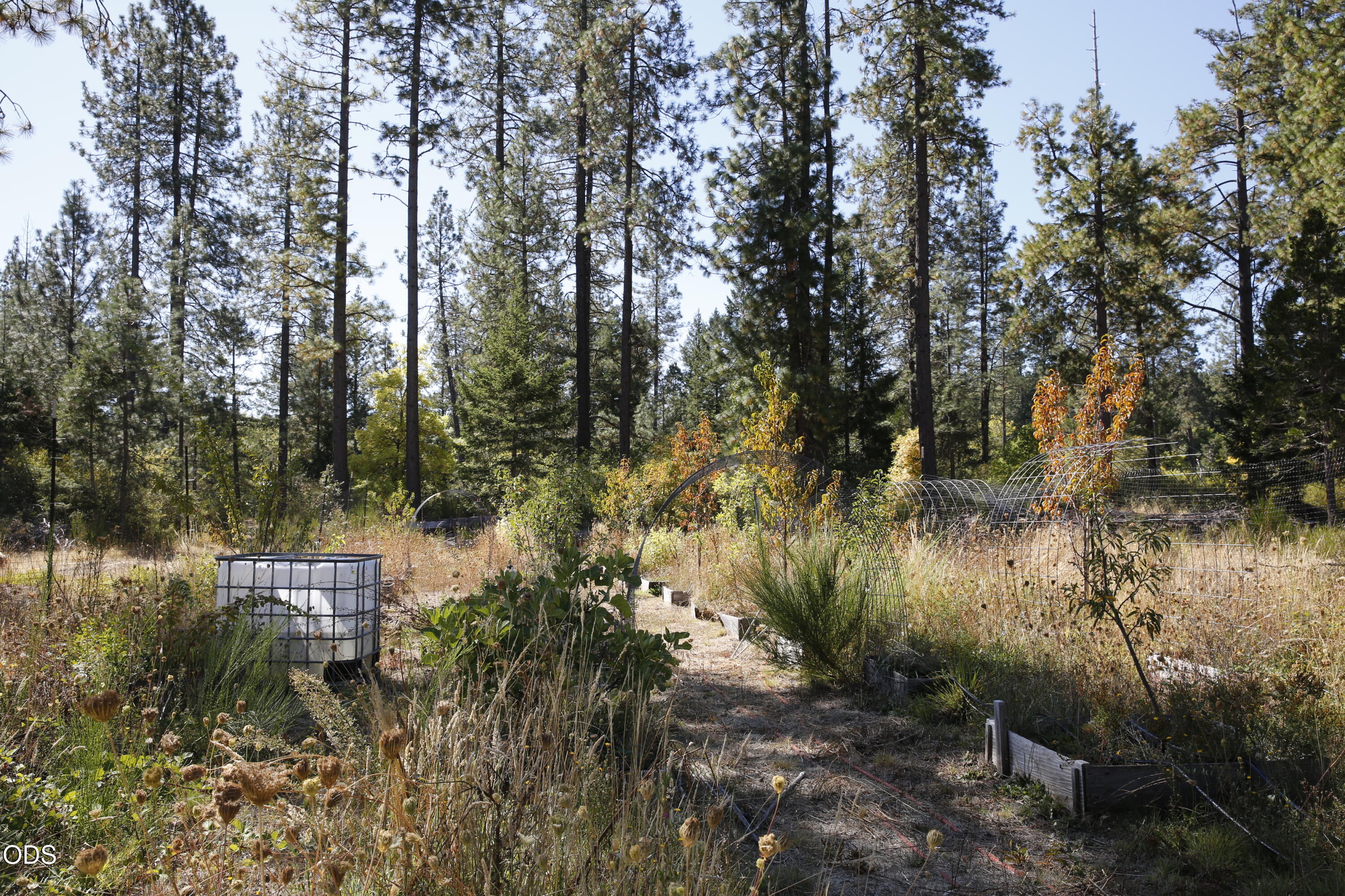 705 Lone Mountain Road O'Brien, OR 97534 - Photo 27 of 44 Gallery Image 27