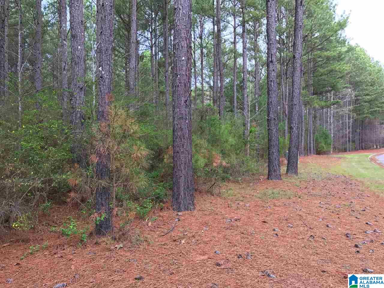 78 Pilgrims Path, Unit 19 Anniston, AL 36207 - Photo 13 of 35