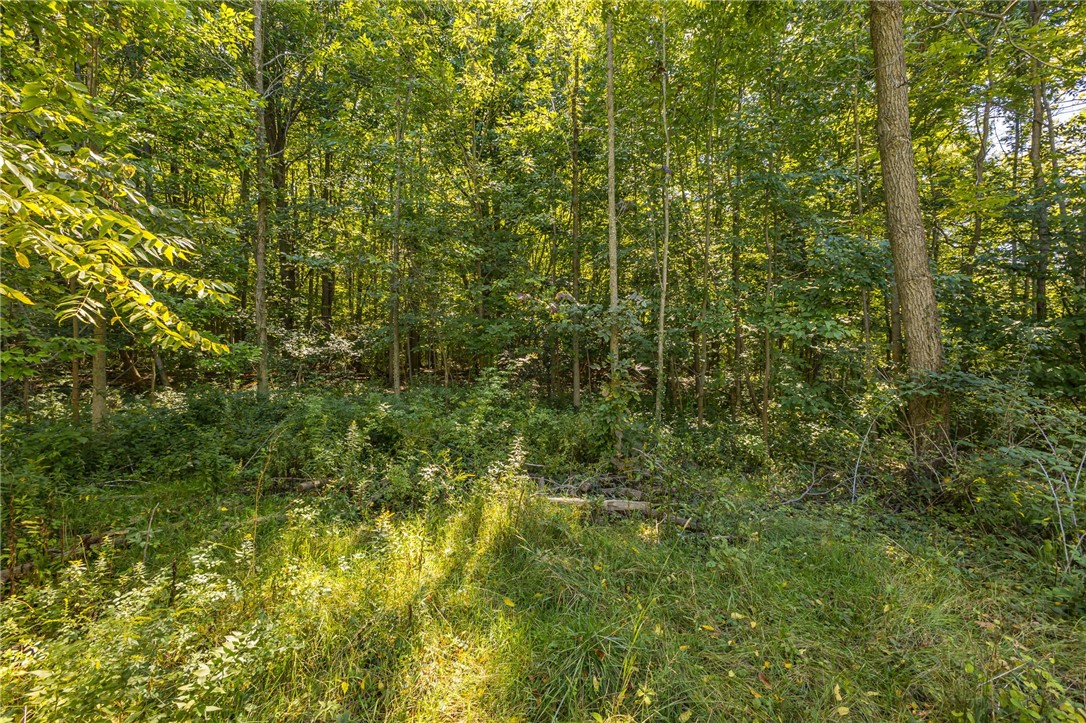 184 Berg Road Ontario, NY 14519 - Photo 23 of 27 Gallery Image 23
