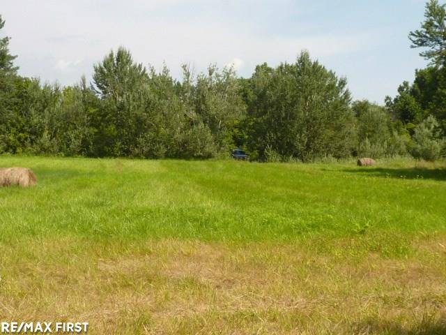 0 Belle River Road Allenton, MI 48002 - Photo 9 of 20