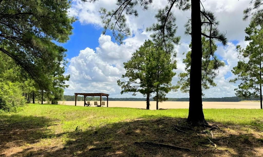 Tbd Parish Line Road Kinder, LA 70648 - Photo 8 of 10