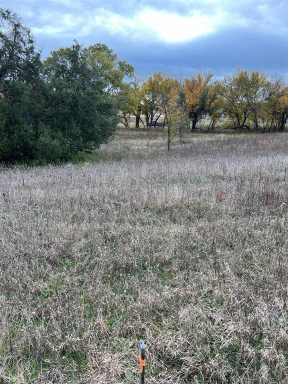 1073 Gonzollas Road Springtown, TX 76082 - Photo 11 of 11 a view of a dry yard with trees