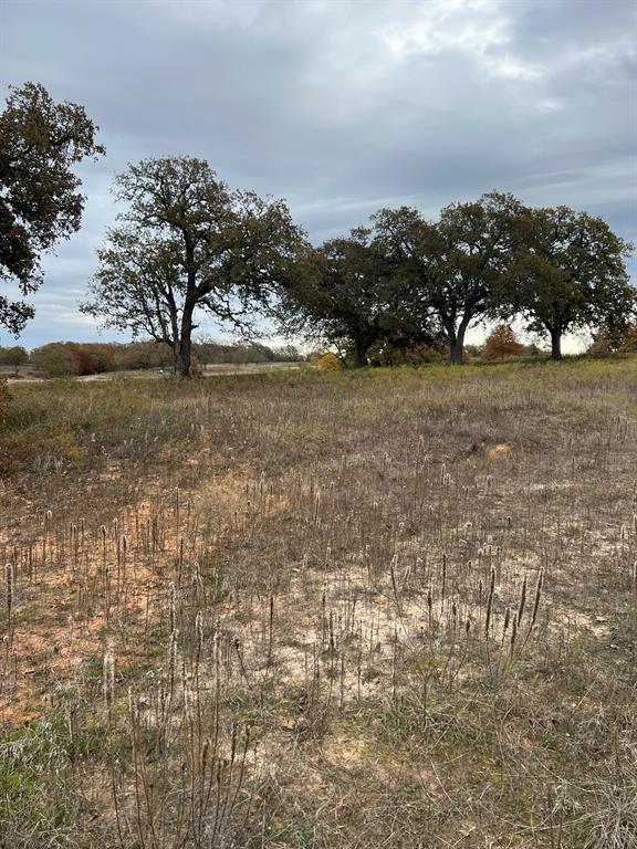 1073 Gonzollas Road Springtown, TX 76082 - Photo 3 of 11 a view of outdoor space with mountain view
