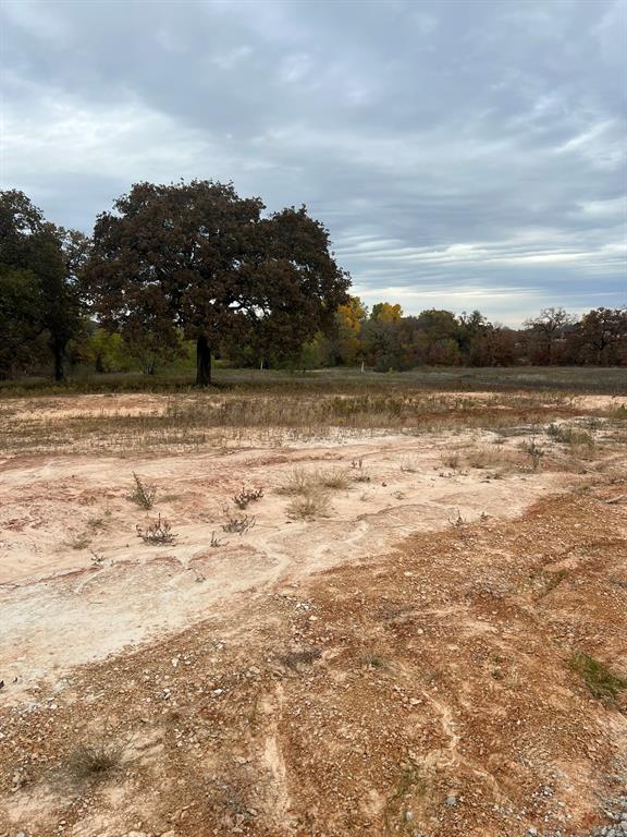 1073 Gonzollas Road Springtown, TX 76082 - Photo 4 of 11 a view of a lake view
