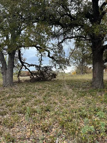 a view of a dry yard with trees