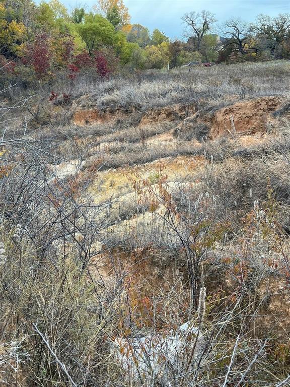1073 Gonzollas Road Springtown, TX 76082 - Photo 9 of 11 a view of a yard
