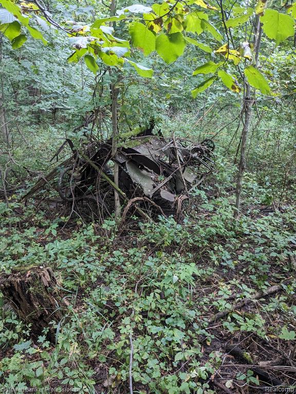 7168 Willis Road Brown City, MI 48416 - Photo 4 of 24