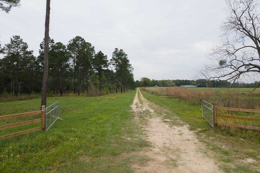649 Okapilco Church Road Dixie, GA 31629 - Photo 14 of 49 Gallery Image 14