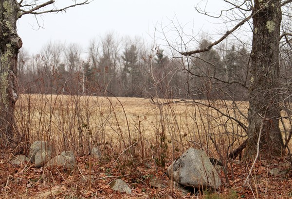 182-acres Colebrook River Road Tolland, MA 01034 - Photo 13 of 15 Gallery Image 13