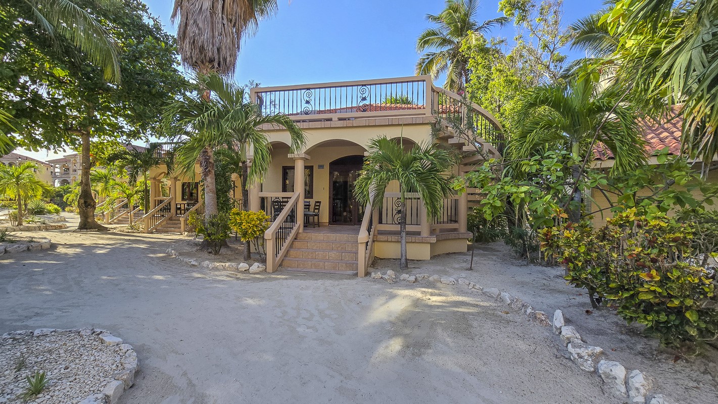 a view of a pathway with a building in the background