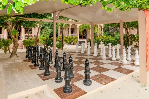 a view of a patio with table and chairs potted plants with floor to ceiling window and palm tree