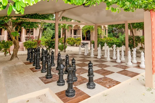 a view of a patio with table and chairs potted plants with floor to ceiling window and palm tree