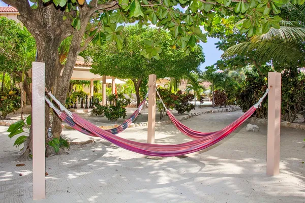 a view of a park with a slide