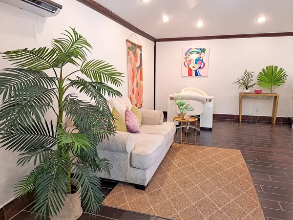 a living room with furniture and a potted plant