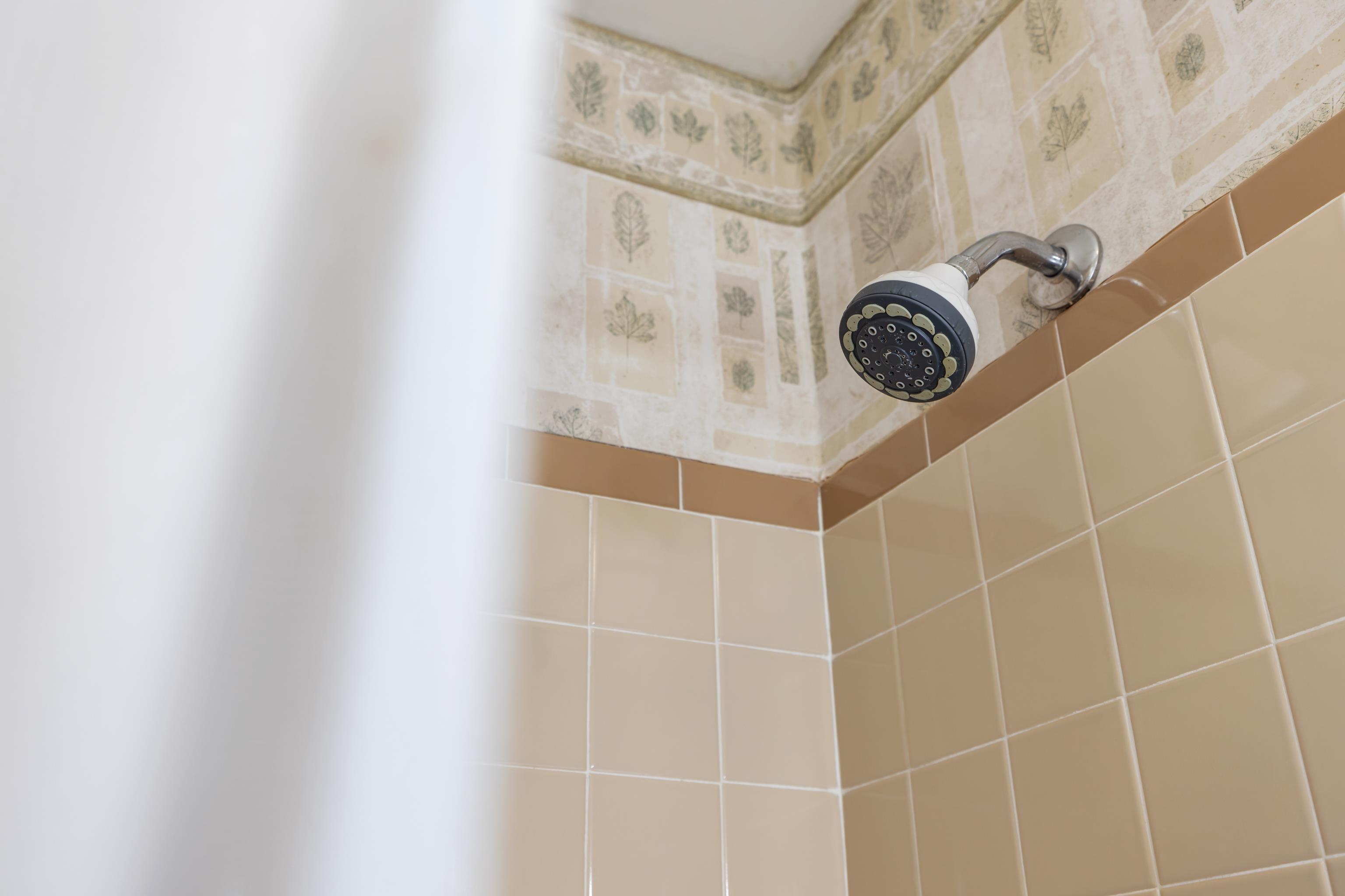 431 Mt Pisgah Road Mount Sidney, VA 24467 - Photo 53 of 72 a bathroom with a shower and a window