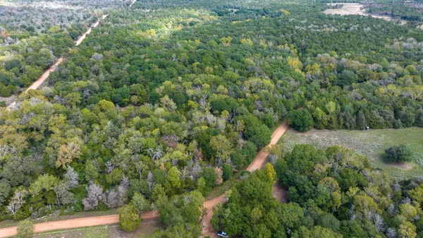 a view of a forest with a houses of a yard