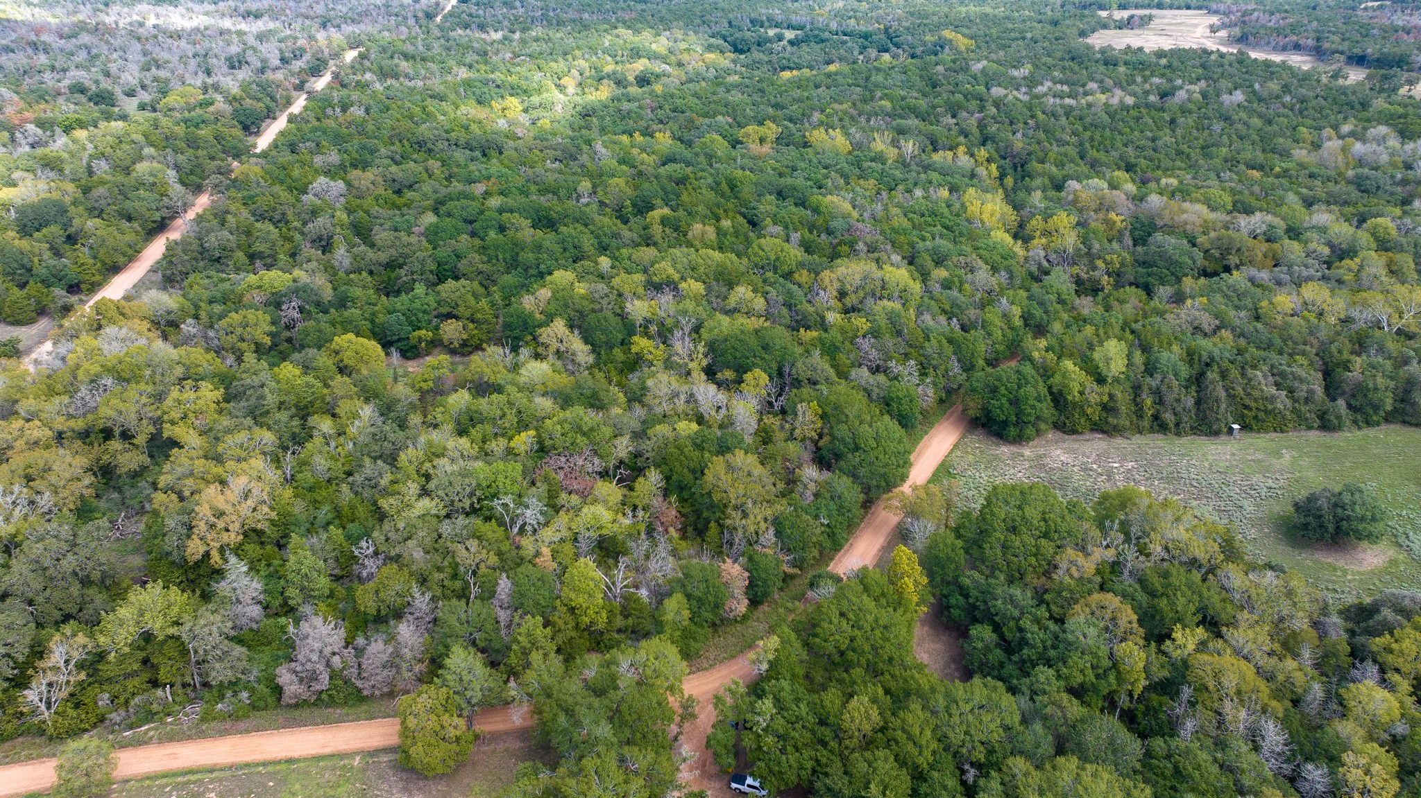 0 Dungens Mill Road New Ulm, TX 78950 - Photo 2 of 5 a view of a forest with a houses of a yard