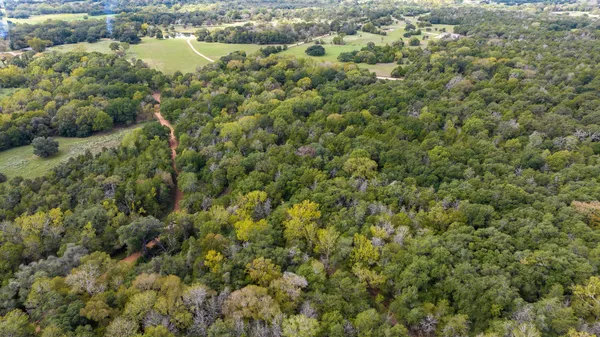 an aerial view of residential houses with outdoor space and trees