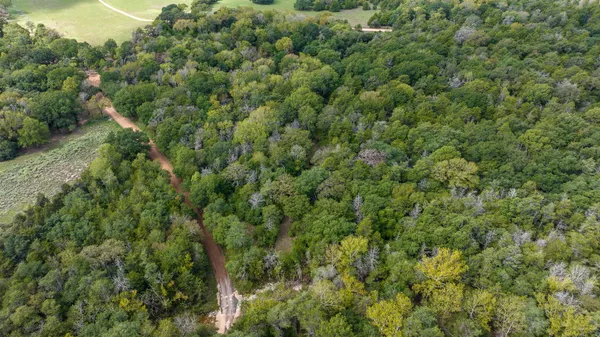 an aerial view of a residential houses with green forest