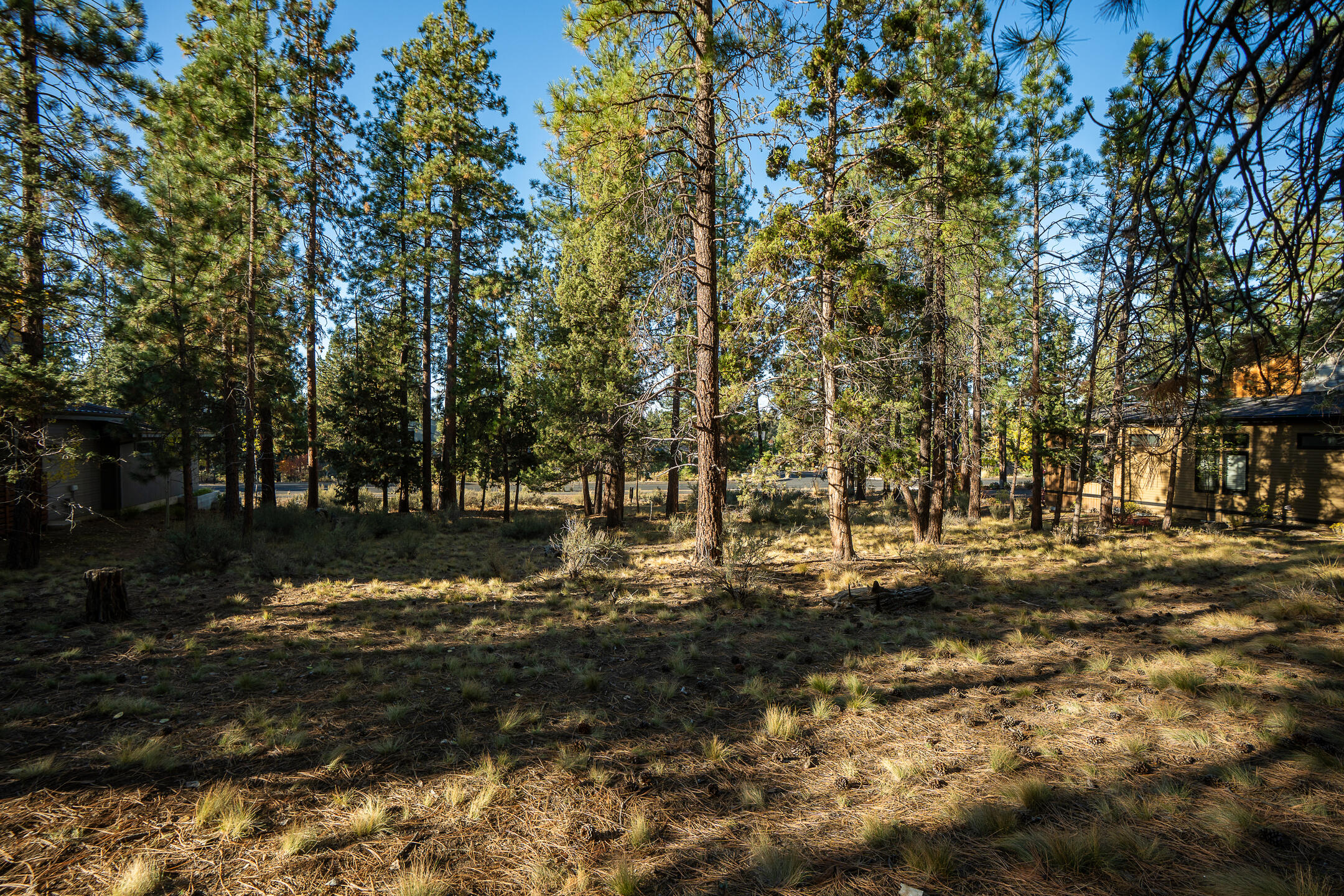 61464 Meeks Trail Bend, OR 97702 - Photo 8 of 16 07