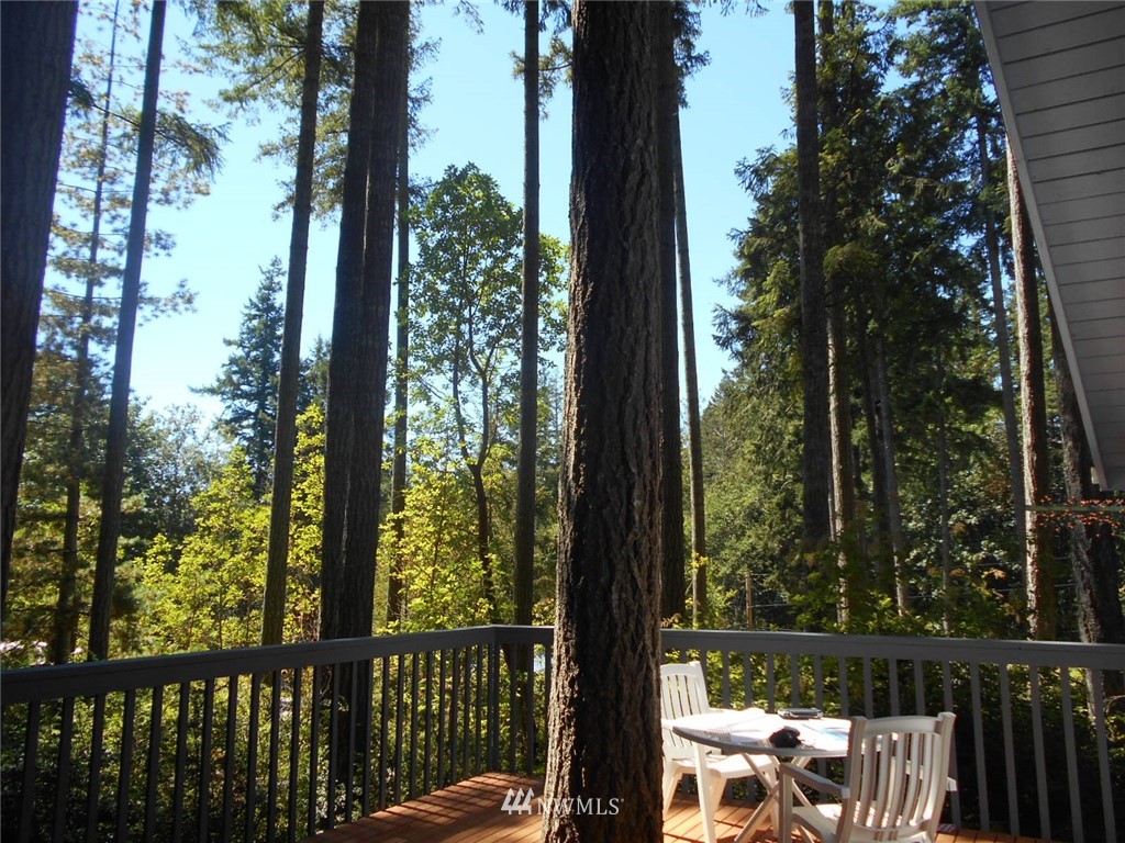 41 Bear Road Quilcene, WA 98376 - Photo 16 of 33 Gallery Image 16