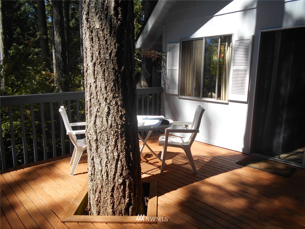 41 Bear Road Quilcene, WA 98376 - Photo 17 of 33 Gallery Image 17