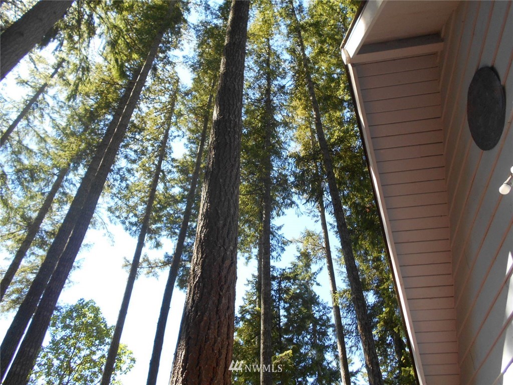 41 Bear Road Quilcene, WA 98376 - Photo 20 of 33 Gallery Image 20