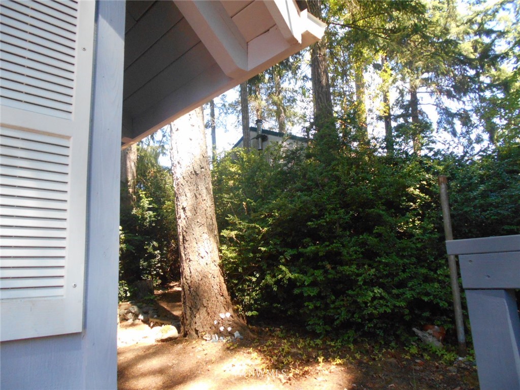 41 Bear Road Quilcene, WA 98376 - Photo 22 of 33 Gallery Image 22