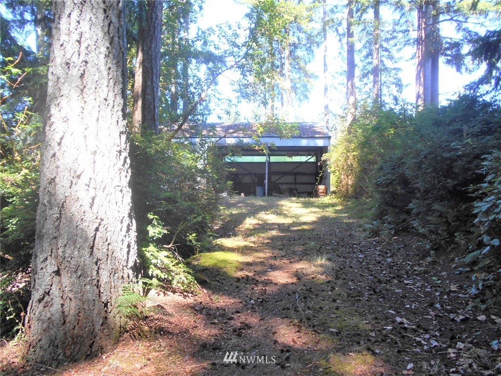 41 Bear Road Quilcene, WA 98376 - Photo 23 of 33 Gallery Image 23