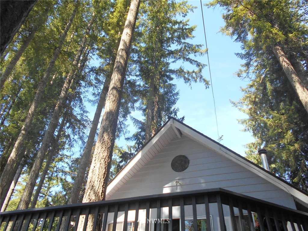 41 Bear Road Quilcene, WA 98376 - Photo 26 of 33 Gallery Image 26
