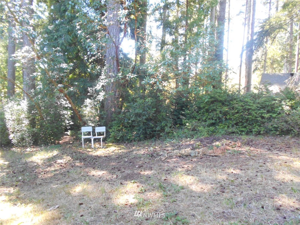 41 Bear Road Quilcene, WA 98376 - Photo 27 of 33 Gallery Image 27