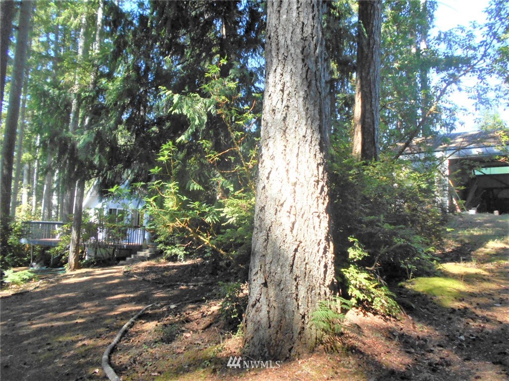 41 Bear Road Quilcene, WA 98376 - Photo 28 of 33 Gallery Image 28