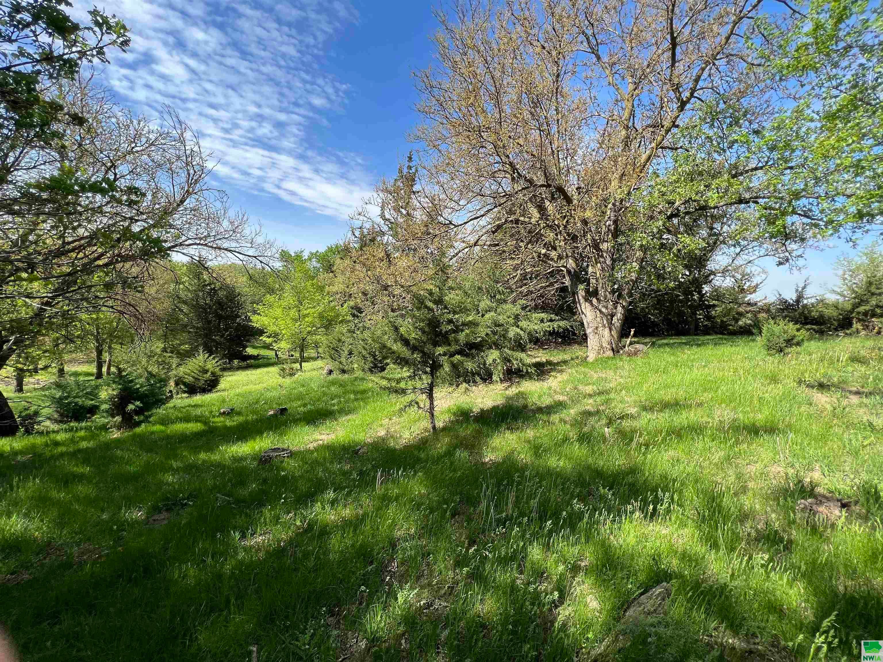 10501 Pecan Avenue Mapleton, IA 51034 - Photo 10 of 29 Gallery Image 10