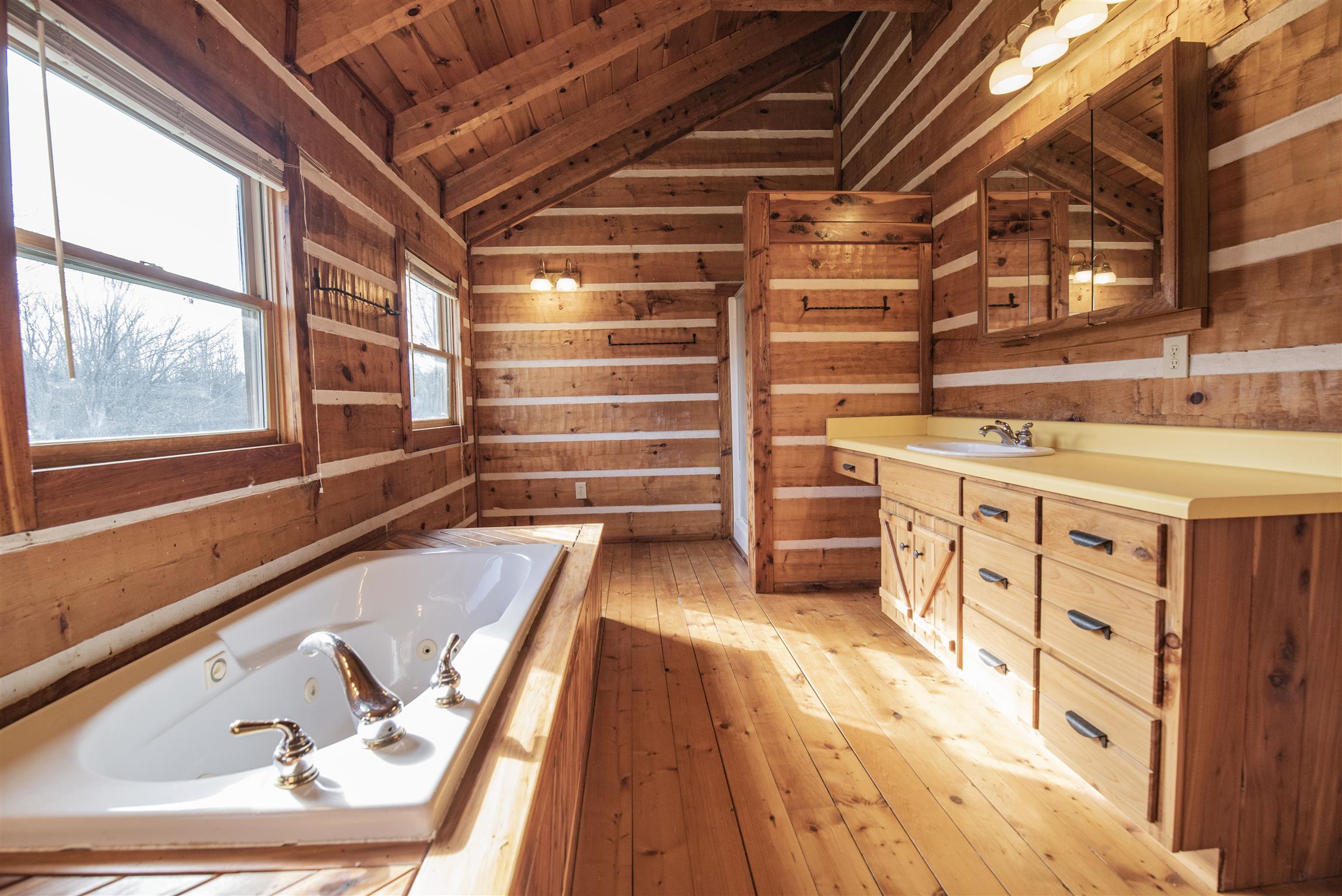 4936 Sledge Road Christiana, TN 37037 - Photo 17 of 30 Master bathroom with jacuzzi tub and vaulted ceilings.